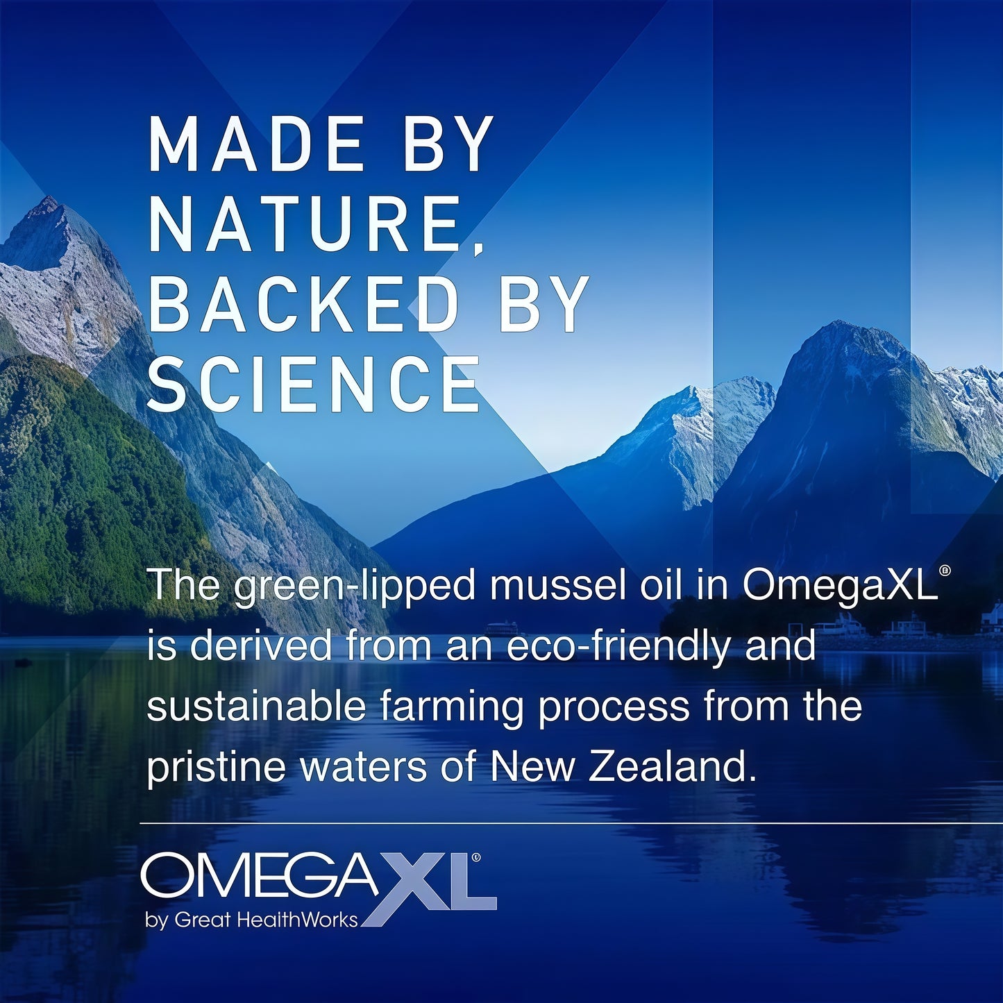 OmegaXL Joint Support Supplement - Natural Muscle Support, Green Lipped Mussel Oil, Soft Gel Pills, Drug-Free, 300 Count