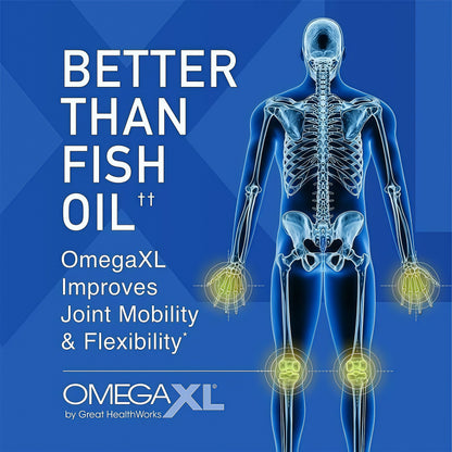 OmegaXL Joint Support Supplement - Natural Muscle Support, Green Lipped Mussel Oil, Soft Gel Pills, Drug-Free, 300 Count